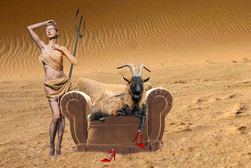 Desert fauteuil et  bouc001 et modèle copie.jpg