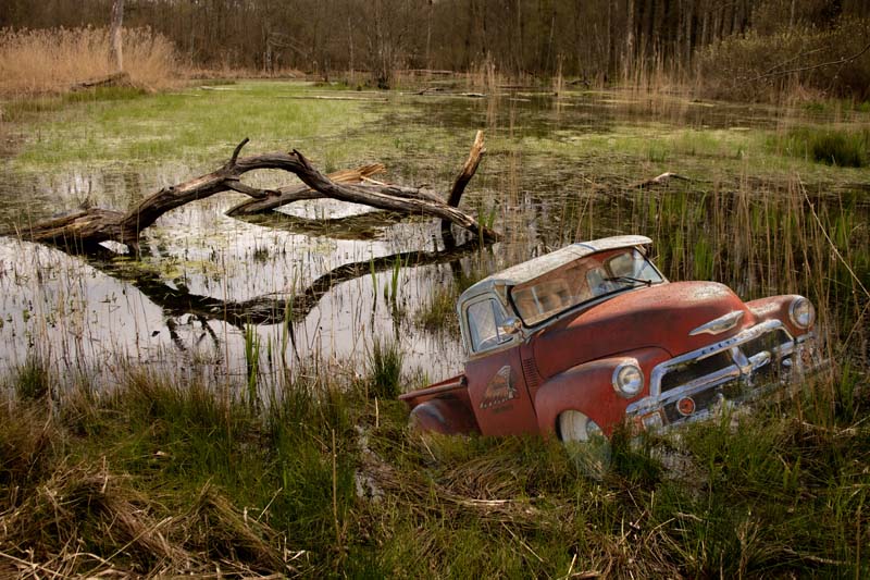 paysage de marais et chevrolet pick up 001 copie.jpg