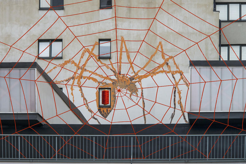 araignée sur façade et toile.jpg